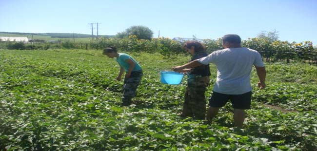 �����ֳ������ܻ�վ��ժ�����������