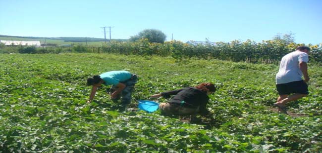 �����ֳ������ܻ�վ��ժ�����������