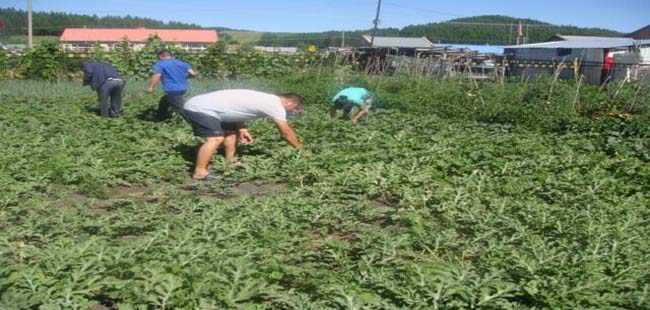 �����ֳ������ܻ�վ��ժ�����������