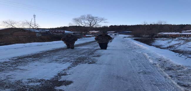 �����ֳ������վ