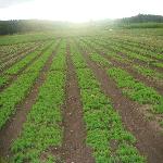 ���Խ���